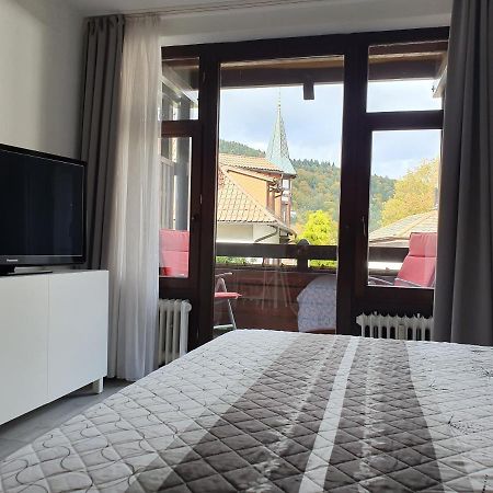 Gemuetliche Ferienwohnung Am Kurpark In 巴特黑雷纳尔布 外观 照片