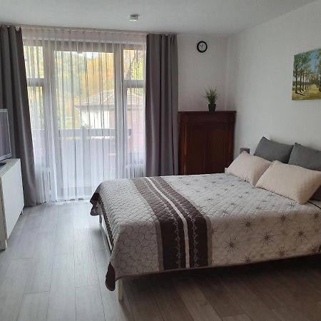 Gemuetliche Ferienwohnung Am Kurpark In 巴特黑雷纳尔布 外观 照片