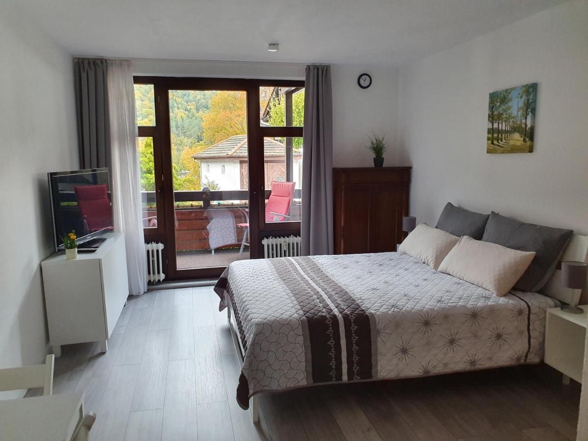 Gemuetliche Ferienwohnung Am Kurpark In 巴特黑雷纳尔布 外观 照片